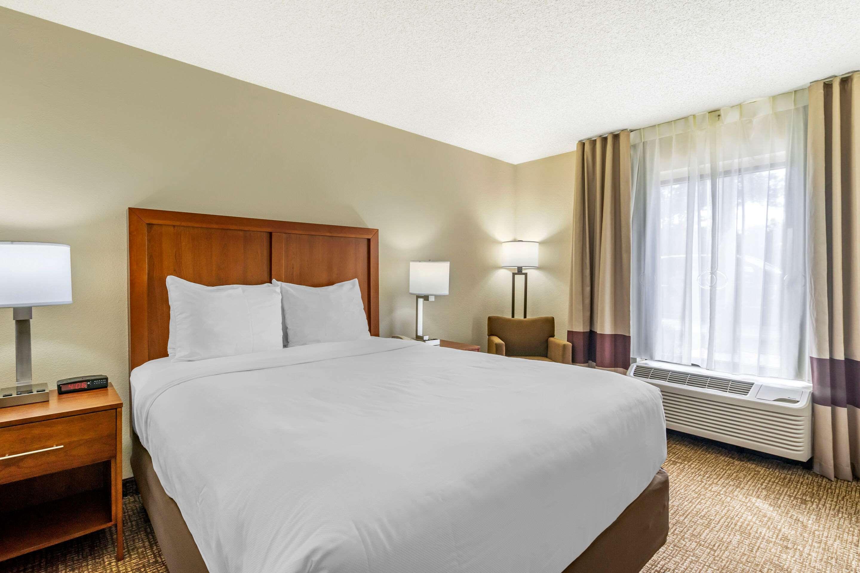 Comfort Inn & Suites St Pete - Clearwater International Airport Exteriér fotografie