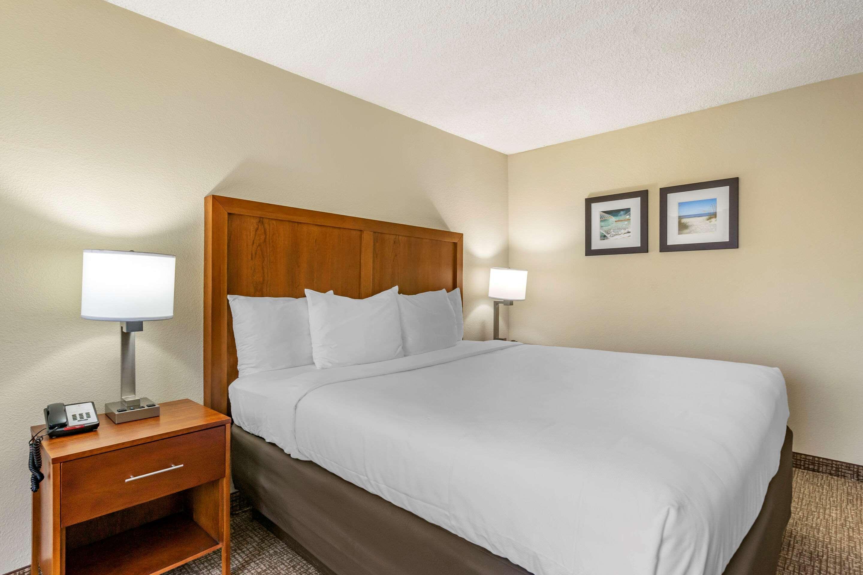 Comfort Inn & Suites St Pete - Clearwater International Airport Exteriér fotografie