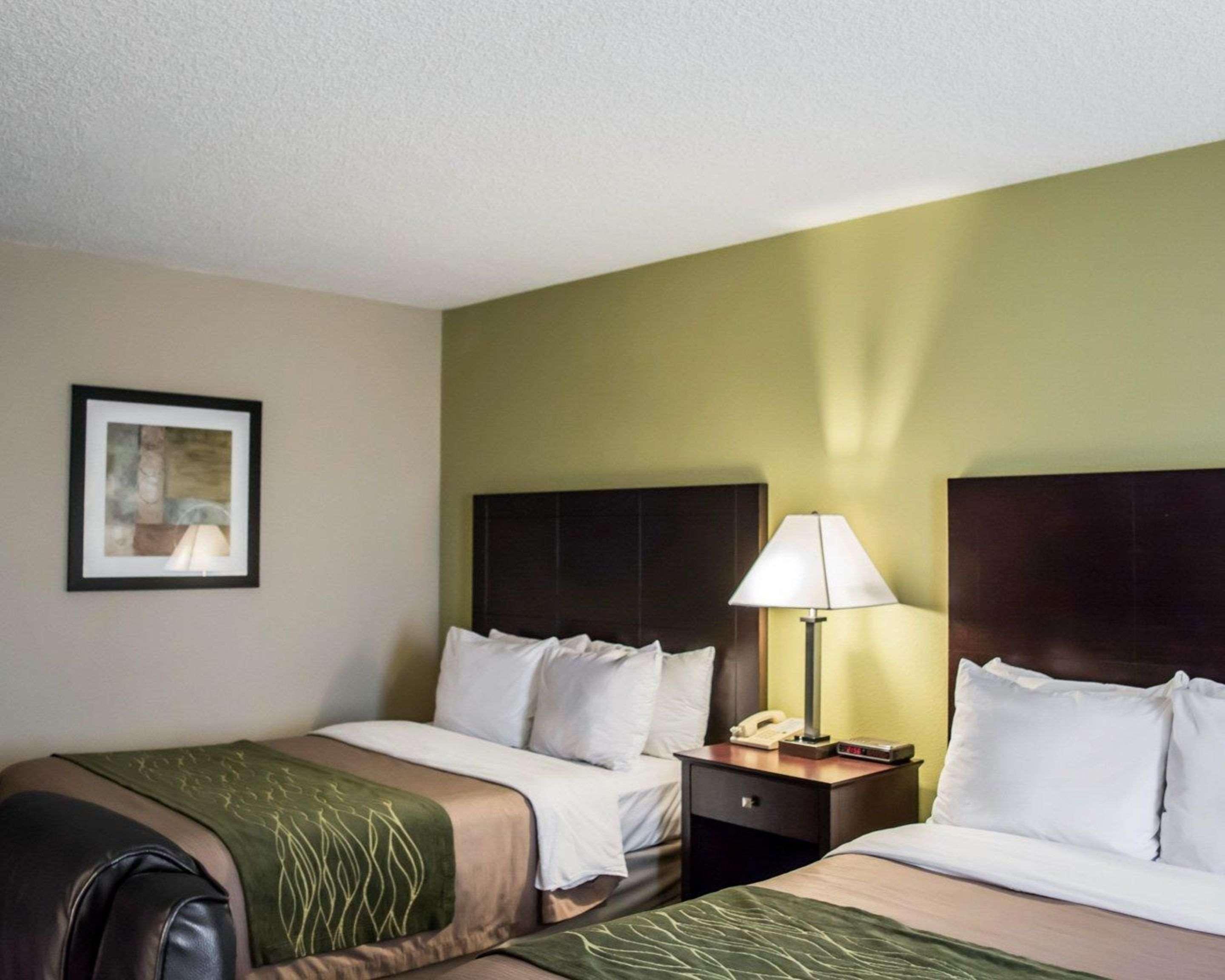 Comfort Inn & Suites St Pete - Clearwater International Airport Exteriér fotografie