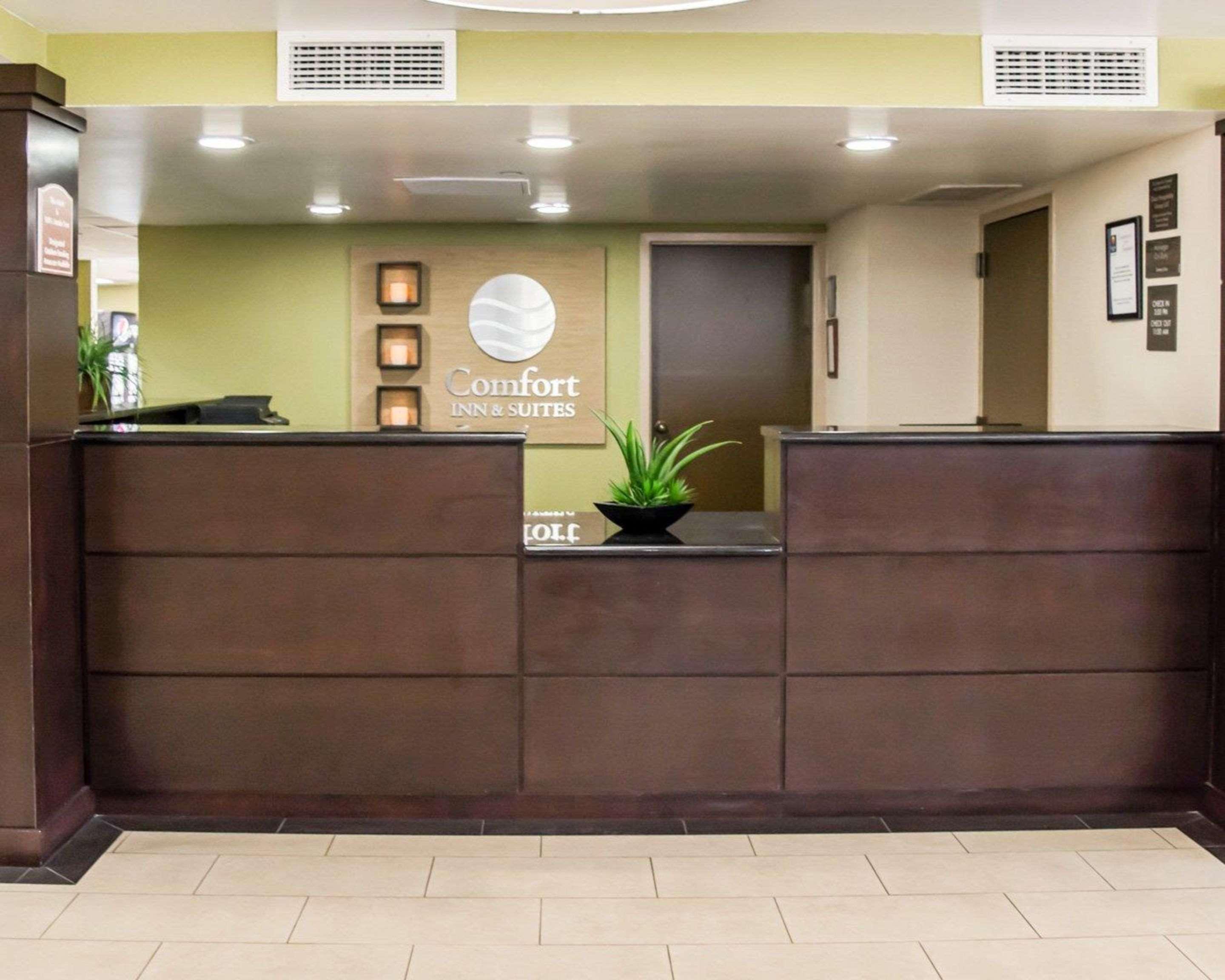 Comfort Inn & Suites St Pete - Clearwater International Airport Exteriér fotografie