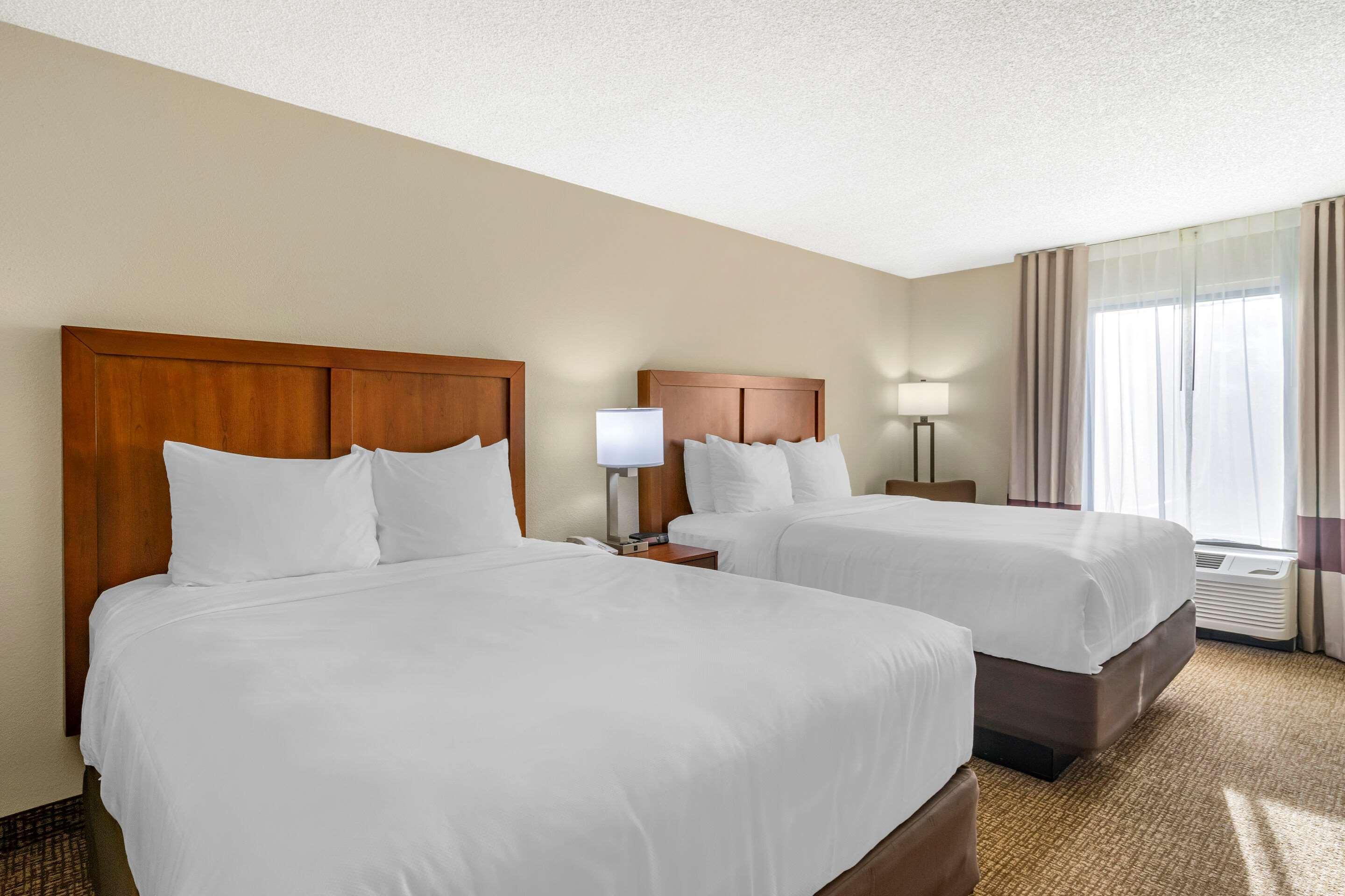 Comfort Inn & Suites St Pete - Clearwater International Airport Exteriér fotografie