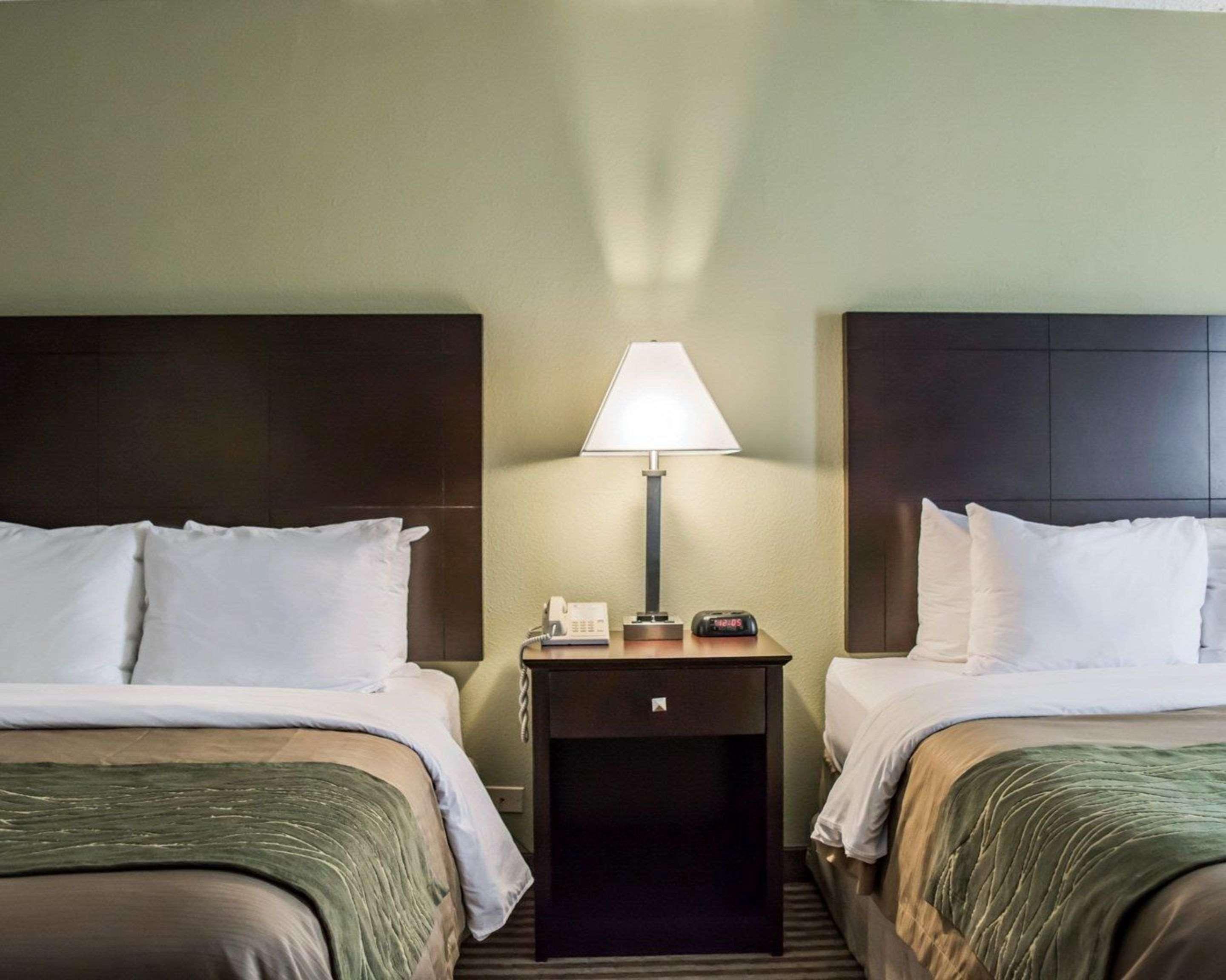 Comfort Inn & Suites St Pete - Clearwater International Airport Exteriér fotografie