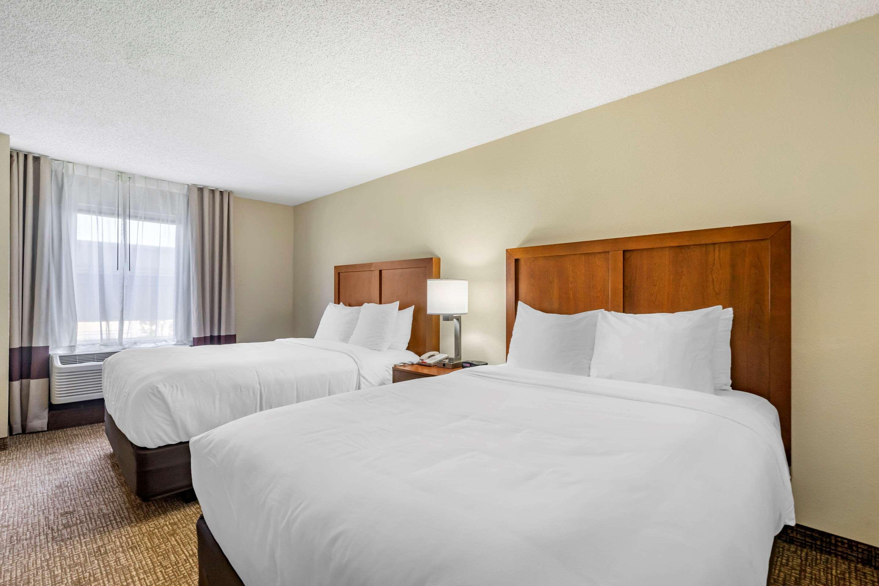 Comfort Inn & Suites St Pete - Clearwater International Airport Exteriér fotografie